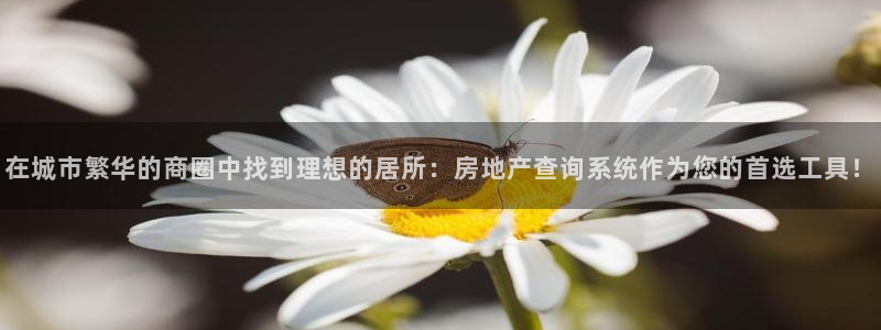 新宝5蒋7O667：在城市繁华的商圈中找到理想的居所：房地产