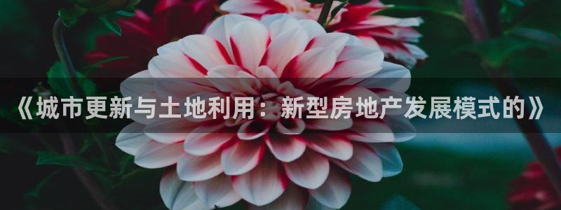 i新宝5：《城市更新与土地利用：新型房地产发展模式的》