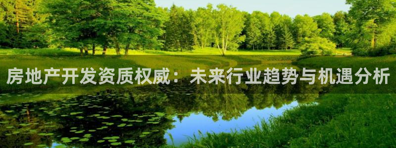新宝注5册：房地产开发资质权威：未来行业趋势与机遇分析