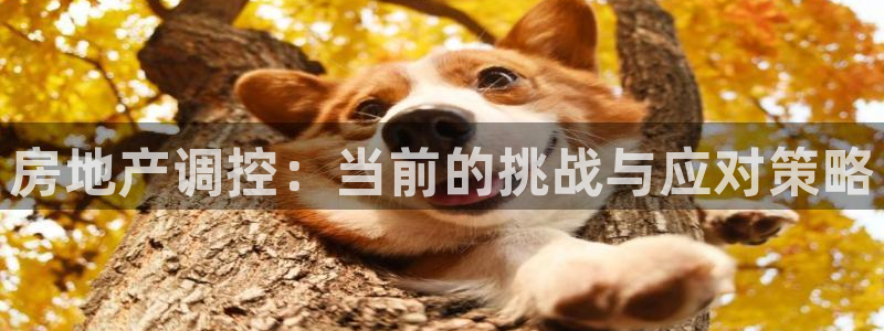 新宝5招商：房地产调控：当前的挑战与应对策略