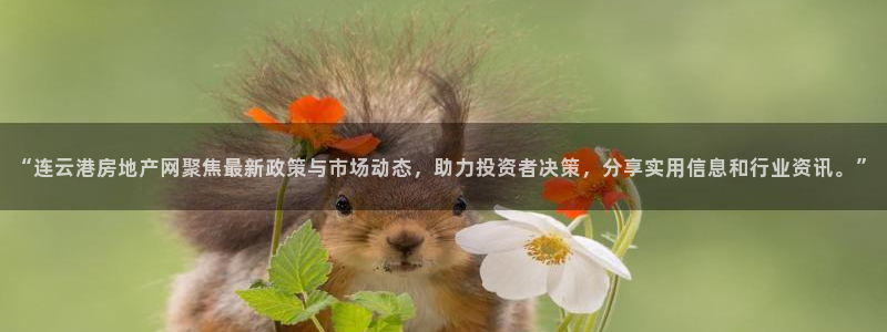 新宝5是什么样子的：“连云港房地产网聚焦最新政策与市场动态，