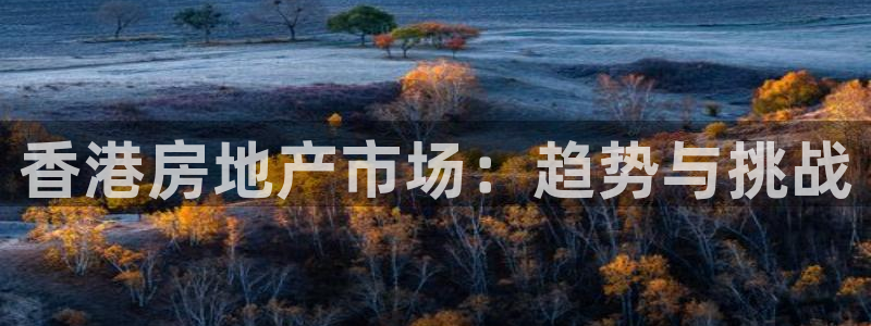 5新宝：香港房地产市场：趋势与挑战