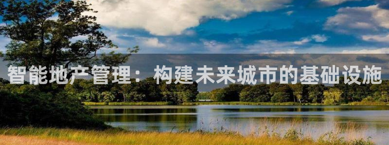 新宝5日：智能地产管理：构建未来城市的基础设施
