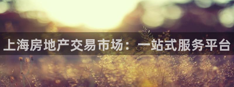 新宝5寻33 300球：上海房地产交易市场：一站式服务平台