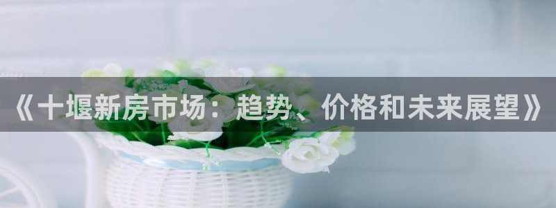 新宝h2O5O5O：《十堰新房市场：趋势、价格和未来展望》