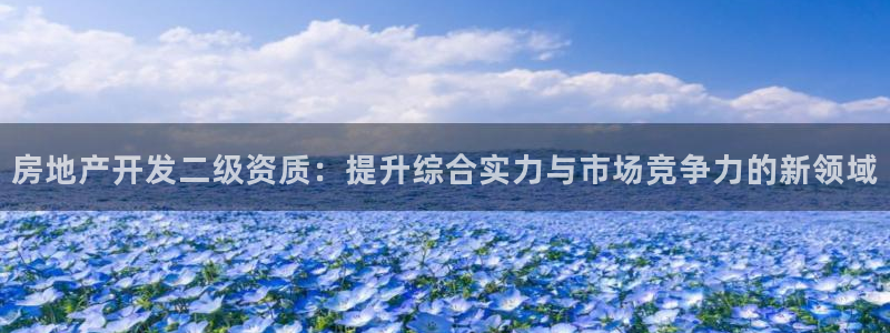 新宝5官网：房地产开发二级资质：提升综合实力与市场竞争力的新