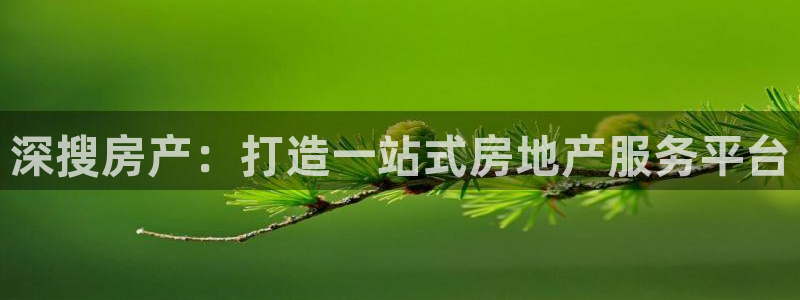 p5r新宝魔：深搜房产：打造一站式房地产服务平台