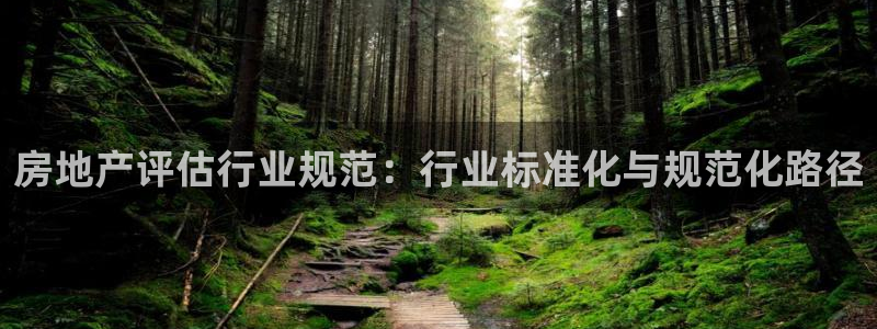 新宝5手机登陆：房地产评估行业规范：行业标准化与规范化路径