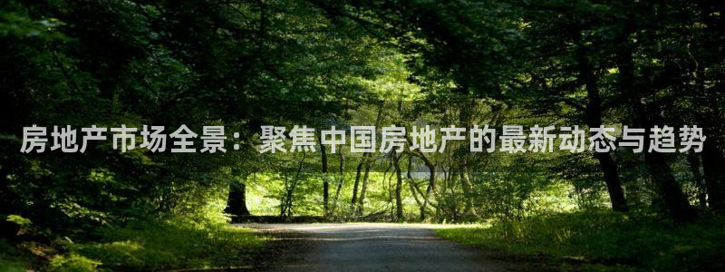 新宝5如何注册：房地产市场全景：聚焦中国房地产的最新动态与趋