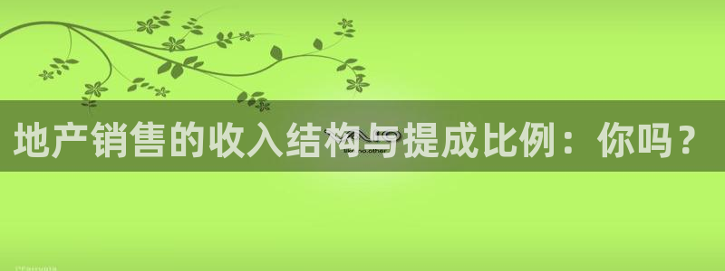 新宝6霸哥5：地产销售的收入结构与提成比例：你吗？
