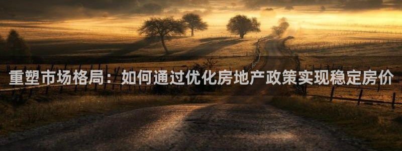 新宝5官网67五壹叁八：重塑市场格局：如何通过优化房地产政策