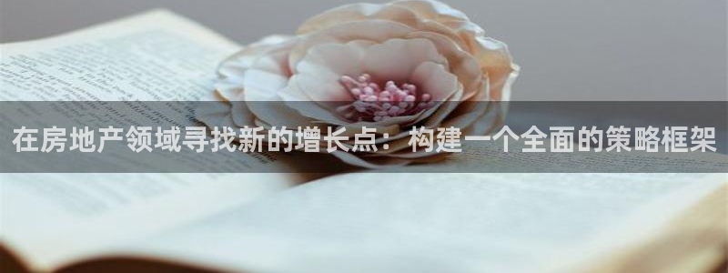 新宝5手机下载：在房地产领域寻找新的增长点：构建一个全面的策