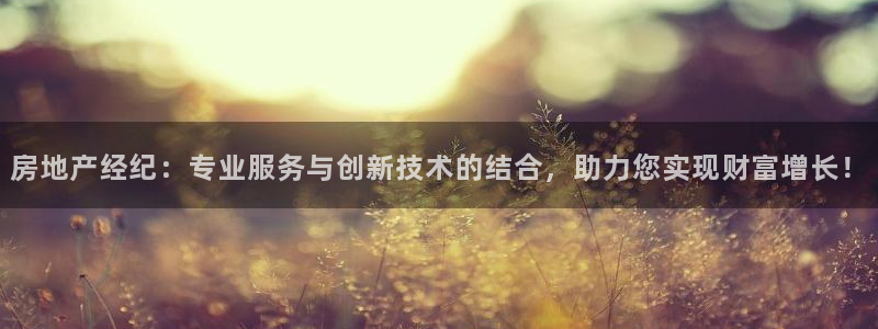新宝5注册平台：房地产经纪：专业服务与创新技术的结合，助力您