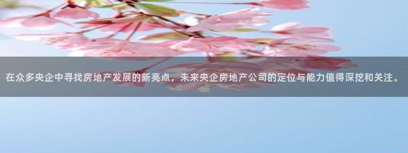 新宝5骗术：在众多央企中寻找房地产发展的新亮点，未来央企房地