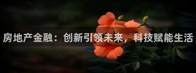 新宝5平棋牌：房地产金融：创新引领未来，科技赋能生活