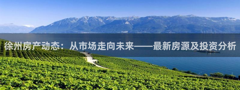 新宝5娱乐如：徐州房产动态：从市场走向未来——最新房源及投资