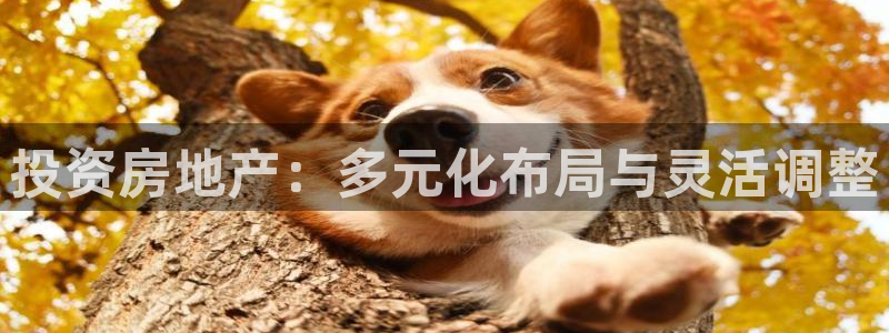 新宝5导师：投资房地产：多元化布局与灵活调整