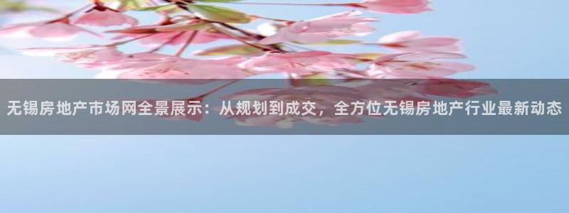 新宝5app：无锡房地产市场网全景展示：从规划到成交，全方位