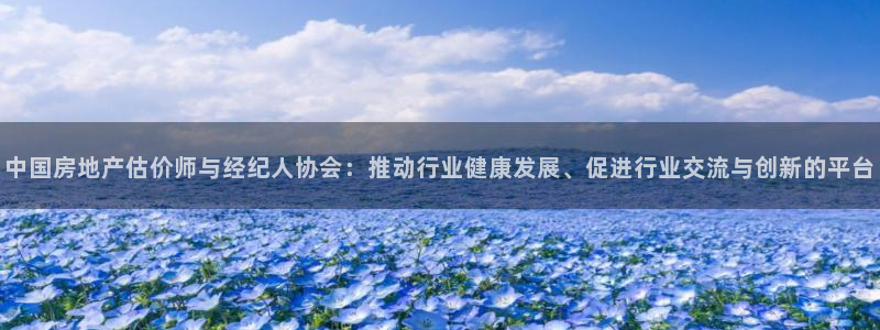 新宝5主管：中国房地产估价师与经纪人协会：推动行业健康发展、