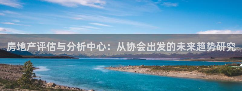 新宝5找找74OOO5：房地产评估与分析中心：从协会出发的未