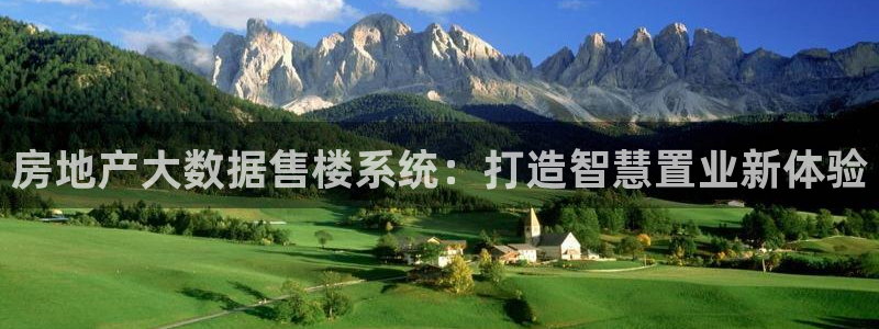 新宝5官网：房地产大数据售楼系统：打造智慧置业新体验