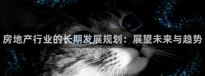 新宝h2O5O5O：房地产行业的长期发展规划：展望未来与趋势