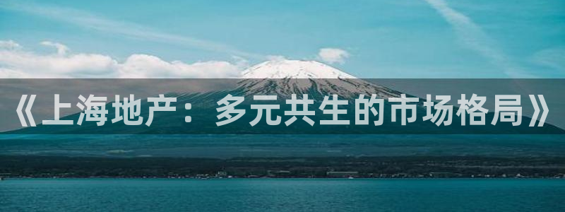 新宝5怎么代理：《上海地产：多元共生的市场格局》