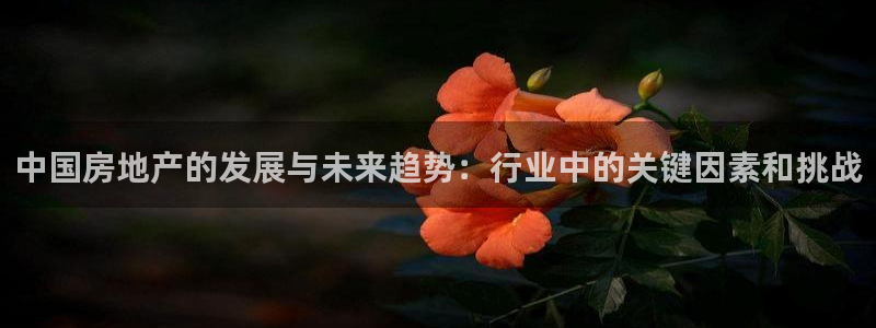 新宝5测登录：中国房地产的发展与未来趋势：行业中的关键因素和