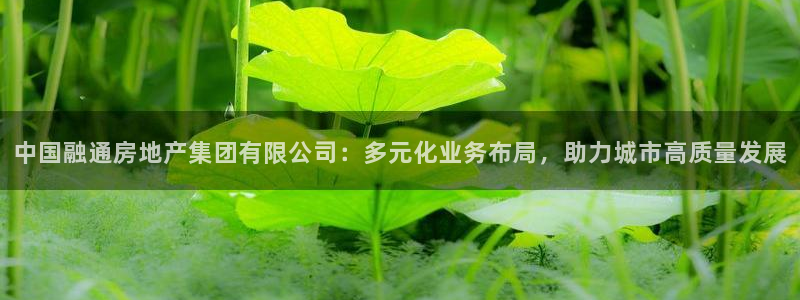 新宝5挂机软件：中国融通房地产集团有限公司：多元化业务布局，
