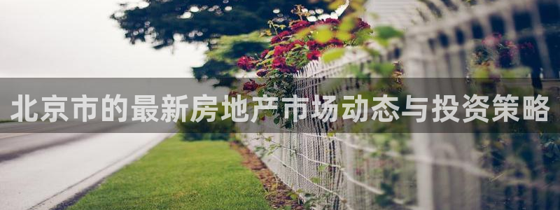 新宝5_测：北京市的最新房地产市场动态与投资策略