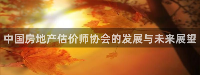 新宝5日谢29999：中国房地产估价师协会的发展与未来展望
