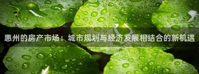 新宝5电脑登录网址：惠州的房产市场：城市规划与经济发展相结合
