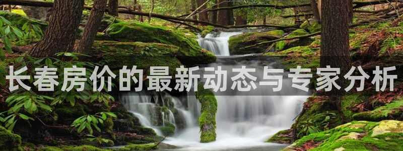新宝5登录入口网址：长春房价的最新动态与专家分析