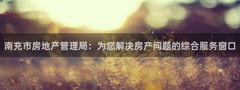 新宝5测速线路：南充市房地产管理局：为您解决房产问题的综合服