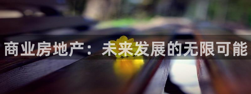 新宝h2O5O5O：商业房地产：未来发展的无限可能
