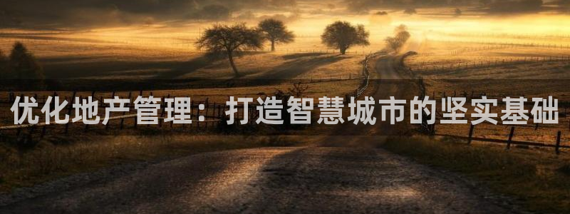 新宝5娱乐手机登录：优化地产管理：打造智慧城市的坚实基础