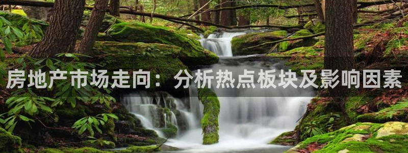 新宝5测试：房地产市场走向：分析热点板块及影响因素
