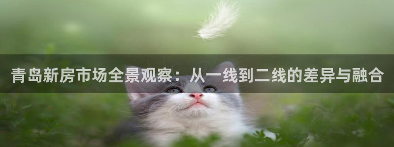 新宝5登录不了：青岛新房市场全景观察：从一线到二线的差异与融