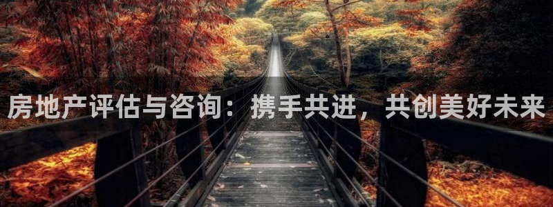 新宝5测：房地产评估与咨询：携手共进，共创美好未来