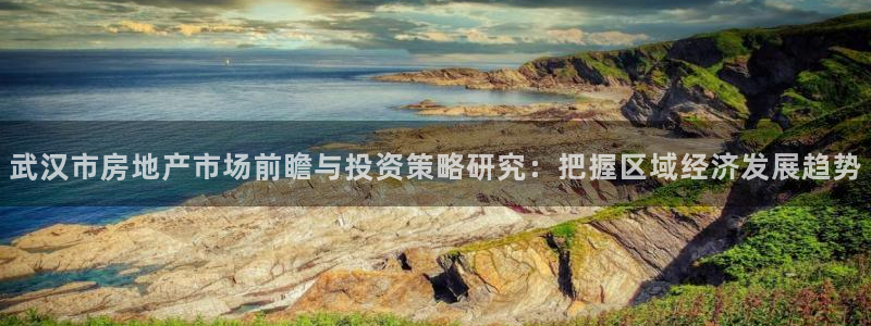 新宝5官网霸：武汉市房地产市场前瞻与投资策略研究：把握区域经