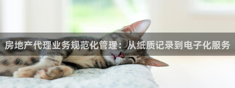 新宝5娱乐网址：房地产代理业务规范化管理：从纸质记录到电子化