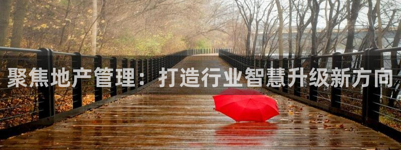 新宝5挂机软件：聚焦地产管理：打造行业智慧升级新方向