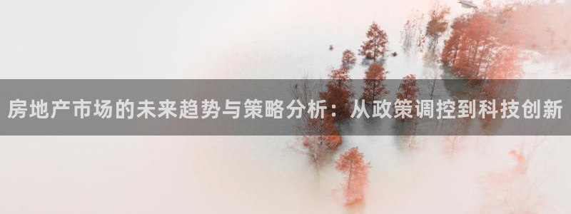 p5r新宝魔：房地产市场的未来趋势与策略分析：从政策调控到科