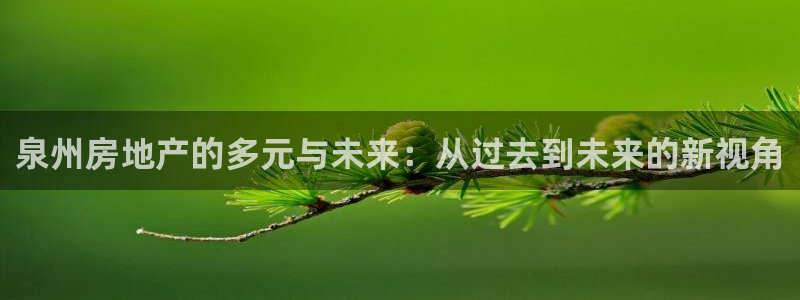 新宝5电脑：泉州房地产的多元与未来：从过去到未来的新视角
