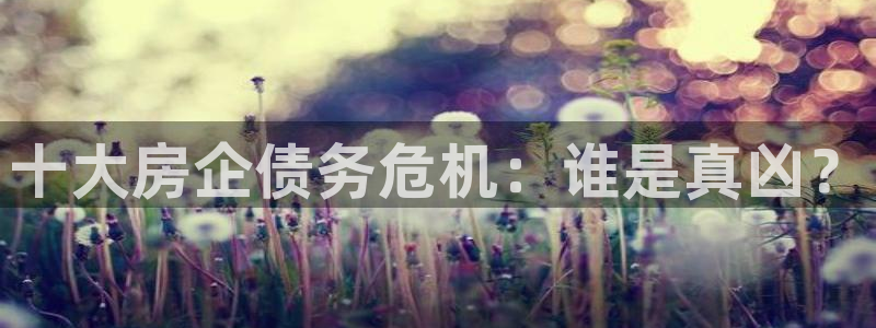 新宝5登录平台：十大房企债务危机：谁是真凶？