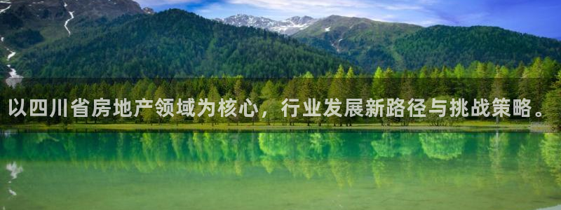 新宝5现在还能玩吗：以四川省房地产领域为核心，行业发展新路径