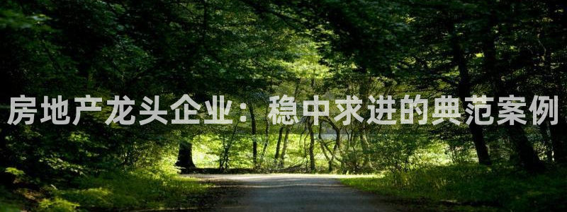 新宝5策略：房地产龙头企业：稳中求进的典范案例