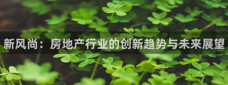 新宝5平台注册：新风尚：房地产行业的创新趋势与未来展望