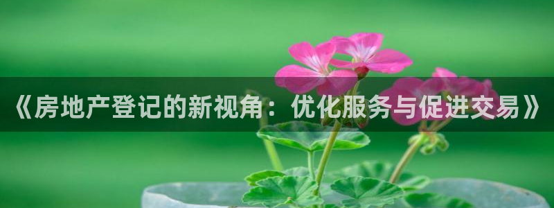 新宝5手机下载：《房地产登记的新视角：优化服务与促进交易》
