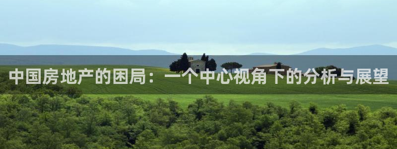 新宝5d：中国房地产的困局：一个中心视角下的分析与展望